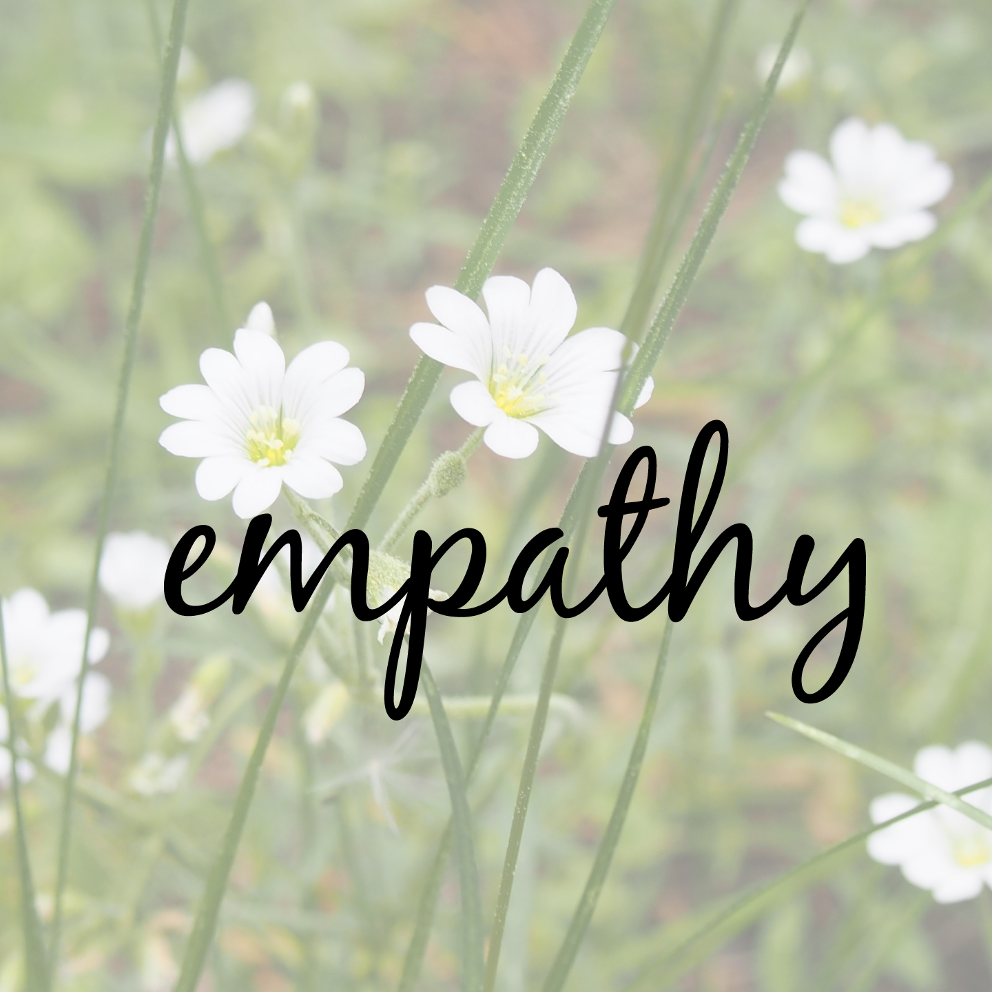 Empathy and my Writing Process